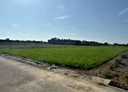 佳里區-土地，662.2坪