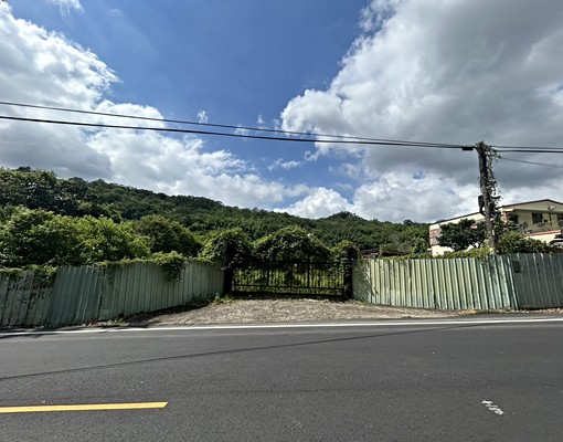 大坑大豐段特二住宅區A