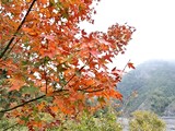 環境圖(16)