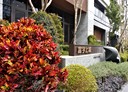 龜山區-文禾路3房1廳，37.5坪