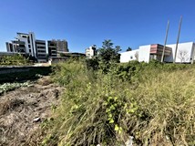 南興東一街12單元臨南興公園..