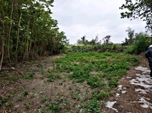 獨家彰化秀水金興段特農用地