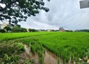 中壢區-土地，893坪
