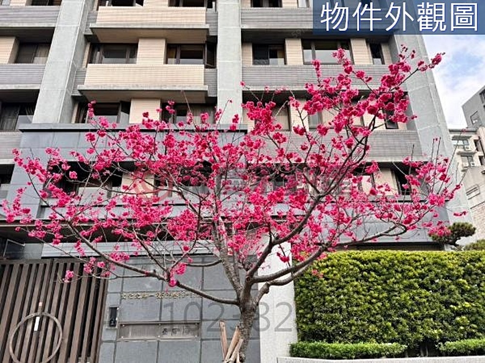 房屋圖片