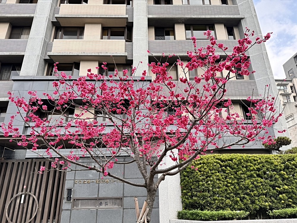 房屋圖片