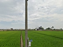 東石鄉⭕️東崙村中洲旁⭕️..