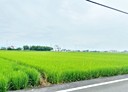 壯圍鄉-土地，764.4坪