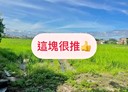 桃園區-土地，176.3坪