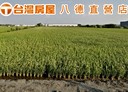 二林鎮-土地，1048.3坪