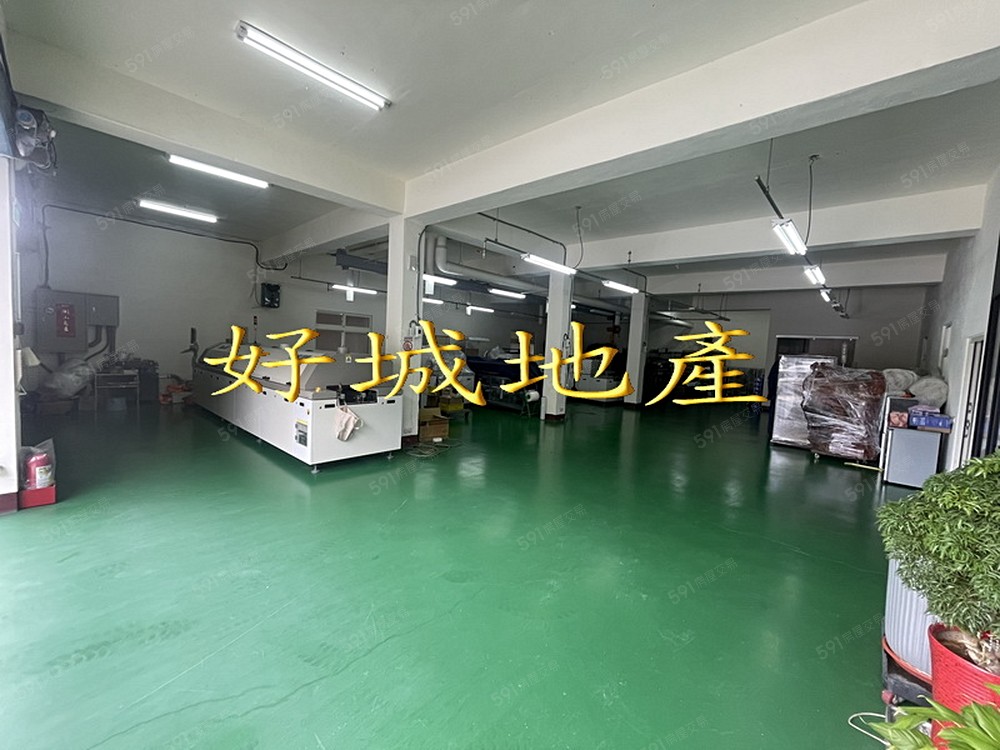 照片