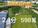 竹田鄉-土地，618.8坪