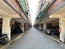 平東路573巷平鎮東安雙車花..