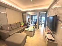 頂興街頂新特區【銳揚國美】..