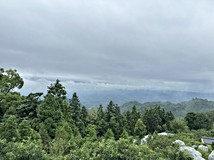 苗栗三義千坪臨10米路農地...
