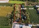 安南區-布袋一街土地，463.6坪