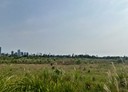 林口區-土地，176坪