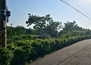 淡水區-土地，539.4坪