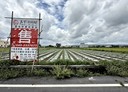 草屯鎮-加老東路土地，791.3坪