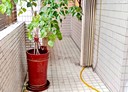 中和區-自立路3房2廳，27.2坪