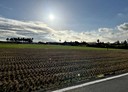 橋頭區-土地，565.7坪