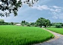 竹北市-堤頂街4房3廳，63坪