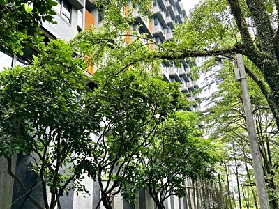 社區圖片
