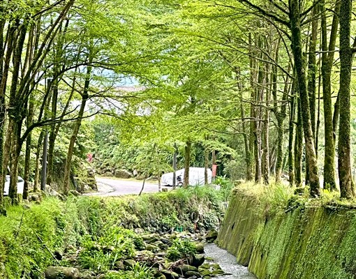 💥星野之森1房1廳~可租補 - Image 11