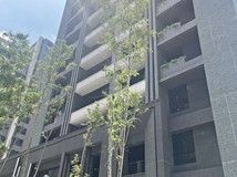 領航南路三段青埔A18✿新成..