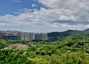 中正區-新豐街3房2廳，39.2坪