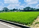 大園區-土地，275.8坪