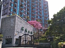 小坪頂66巷菓嶺山莊~城市中..