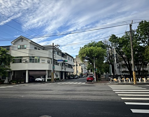 善化大成國小學區大地坪庭院透天 - Image 1