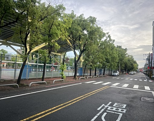 善化大成國小學區大地坪庭院透天 - Image 3