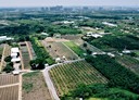 歸仁區-土地，808.1坪