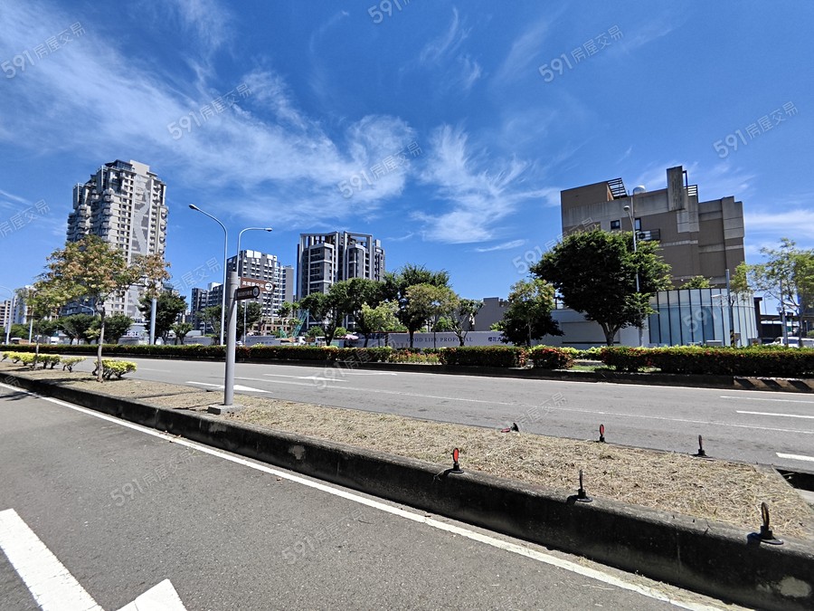 櫻花大綻實景圖