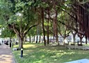 西區-五權西二街4房2廳，36.3坪
