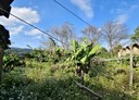 樹林區-西園段土地，45坪