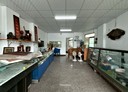 新市區-信義街店面，6.9坪