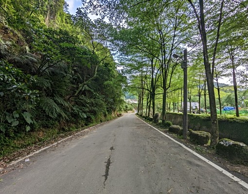 🎀星野之森全新1房1廳1衛出租🎀 - Image 14