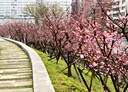汐止區-康寧街3房2廳，60.2坪