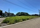 新屋區-土地，619.5坪