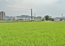 頭份市-土地，618.6坪