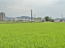 桃竹苗大矽谷計畫【湳湖投資..