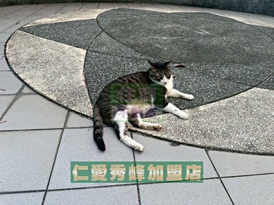 社區圖片