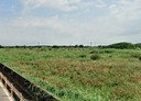 大園區-沙崙段土地，1078.4坪