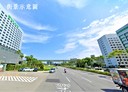 蘆竹區-國1廠房，650坪