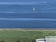 新市二路一段專約💕海景樂高..