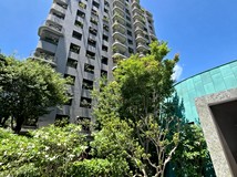 豐樂路🏆【急售出價就談】龍..