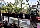 中和區-景平路3房2廳，38.4坪