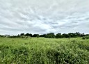 觀音區-土地，760坪